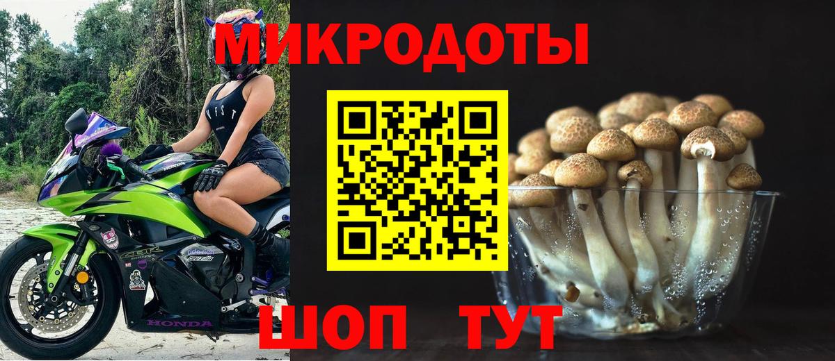 Чита  Галлюциногенные грибы Psilocybe  купить  сайты  Псилоцибиновые грибы мухоморы  Вход с VPN 