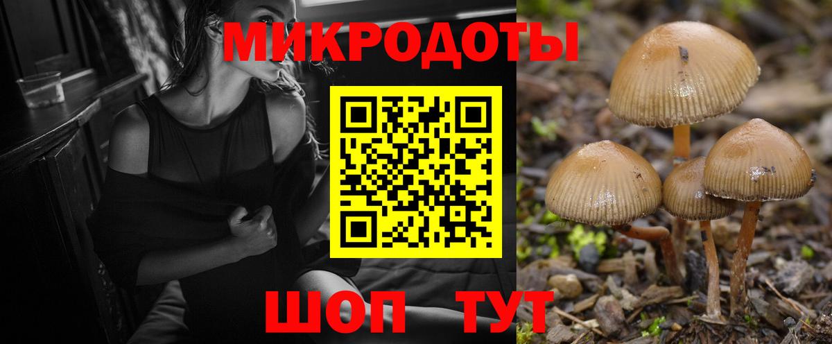 Галлюциногенные грибы прущие грибы Чита
